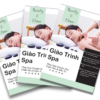 Giáo Trình Spa